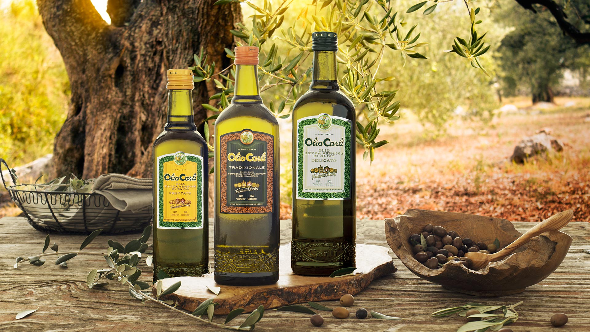 Wie man Olivenöl lagert – Fratelli Carli