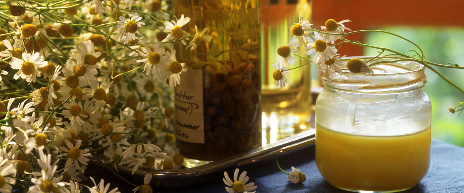 Haarpackung Olivenöl und Honig– Fratelli Carli