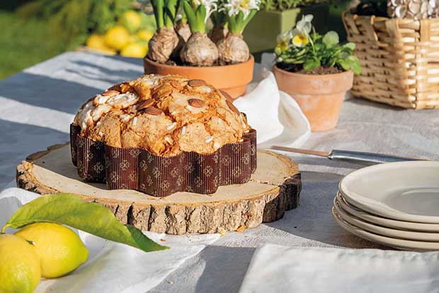 Fleur de Pâques pêche