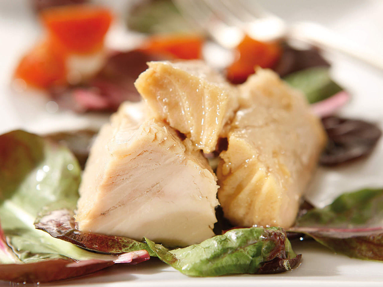 Thunfisch auf Salad 