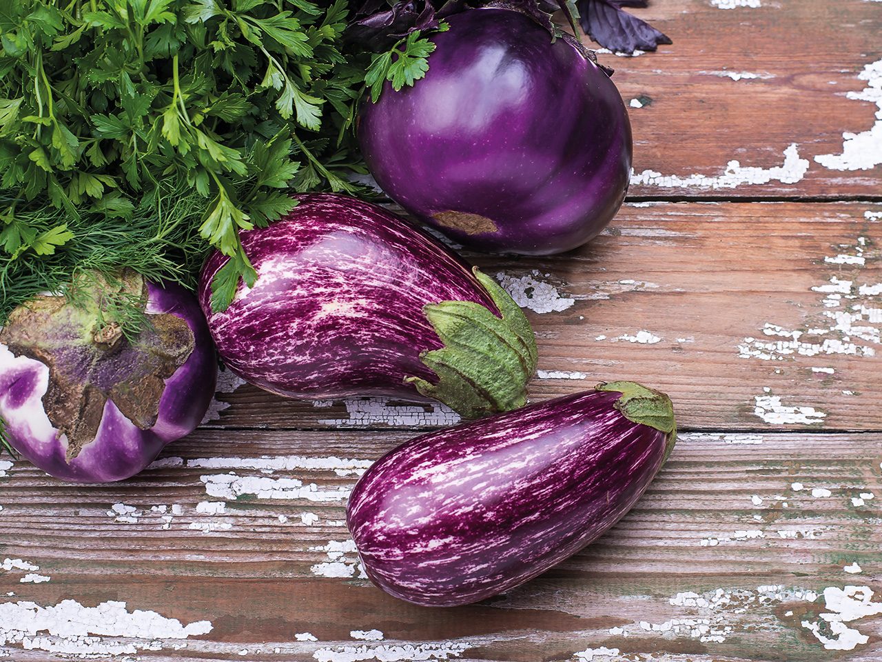 Auberginen