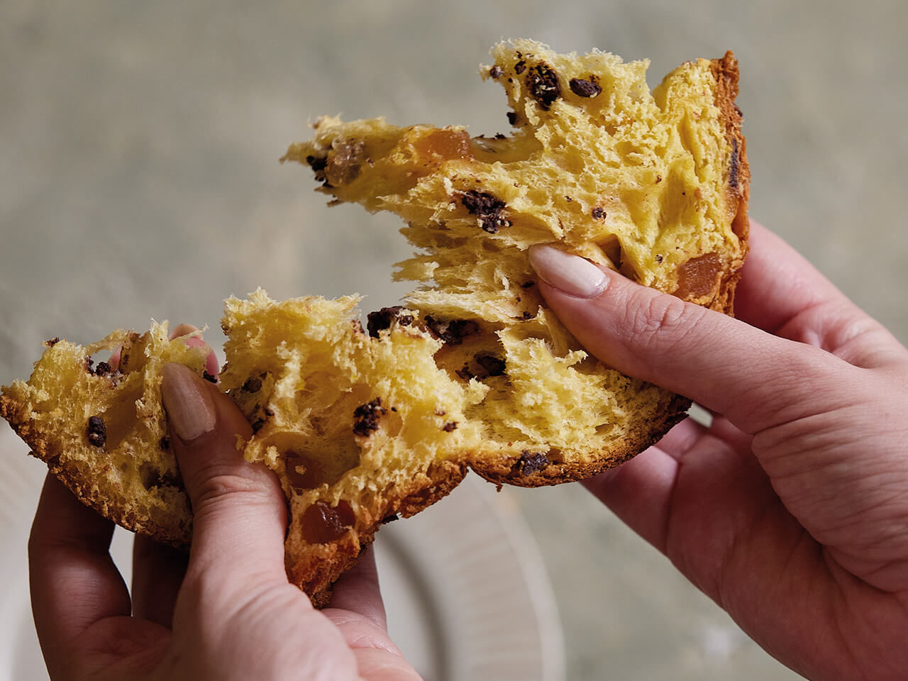 Ein Stueck Panettone mit Orange und Schokolade in einer hand
