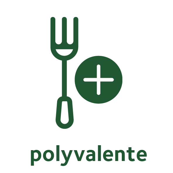 Polyvalence