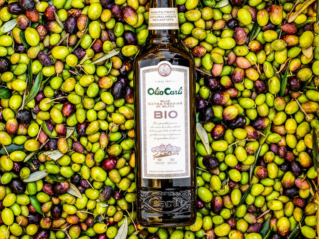 Bouteille d’Huile d’Olive Vierge Extra BIO dans les olives