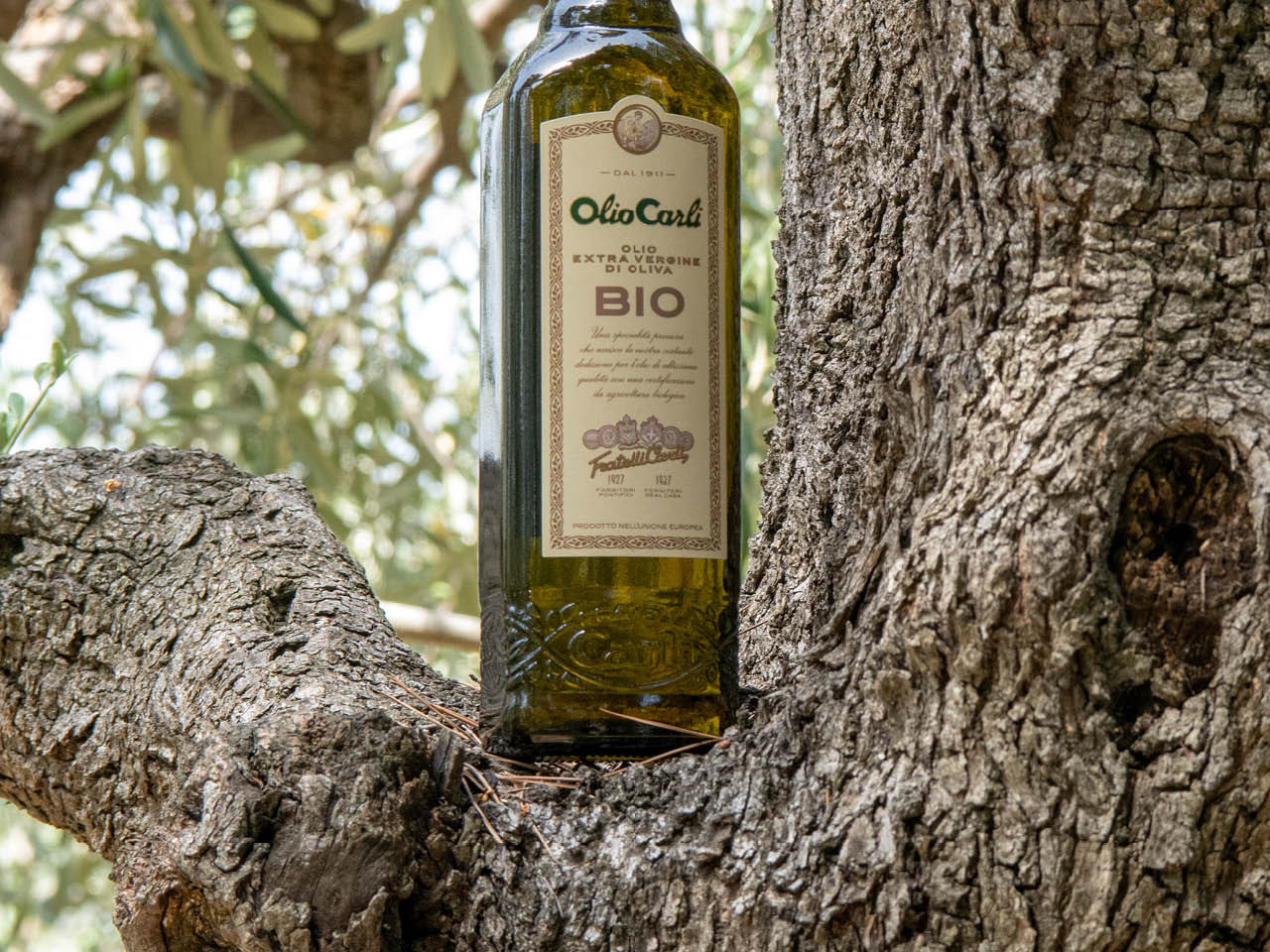 Bouteille d’Huile d’Olive Vierge Extra BIO