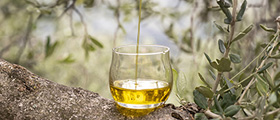 Verre de dégustation d’huile